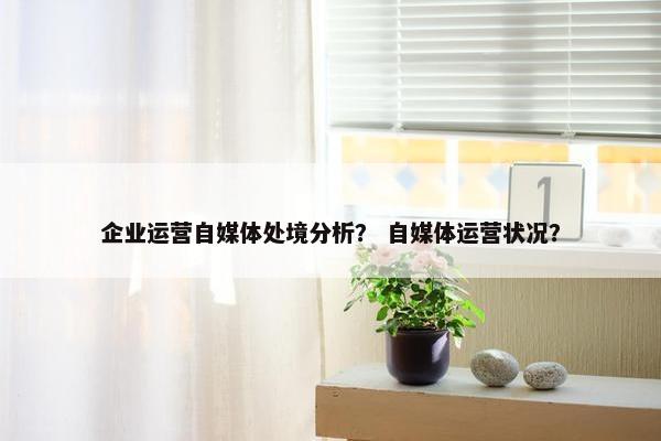 企业运营自媒体处境分析？ 自媒体运营状况？