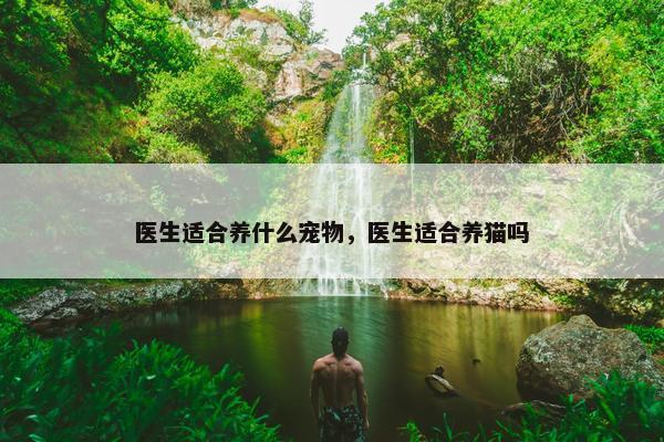 医生适合养什么宠物，医生适合养猫吗