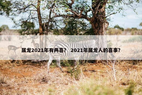 属龙2021年有两喜？ 2021年属龙人的喜事？