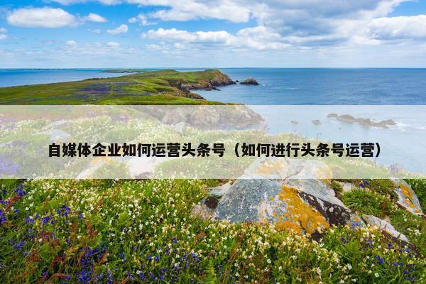 自媒体企业如何运营头条号（如何进行头条号运营）