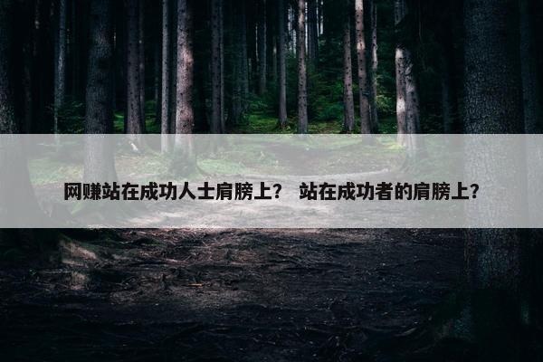网赚站在成功人士肩膀上？ 站在成功者的肩膀上？