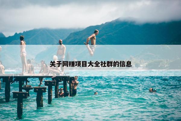 关于网赚项目大全社群的信息