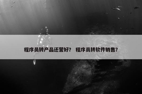 程序员转产品还营好？ 程序员转软件销售？