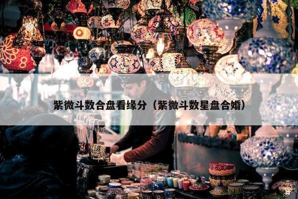 紫微斗数合盘看缘分（紫微斗数星盘合婚）