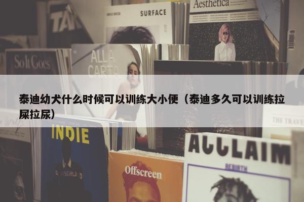 泰迪幼犬什么时候可以训练大小便（泰迪多久可以训练拉屎拉尿）