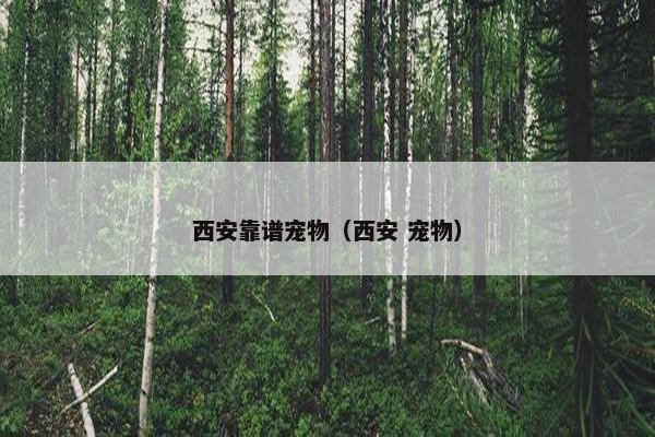 西安靠谱宠物（西安 宠物）