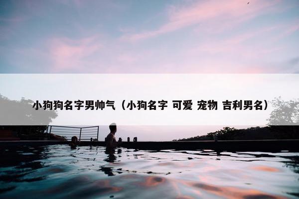 小狗狗名字男帅气（小狗名字 可爱 宠物 吉利男名）
