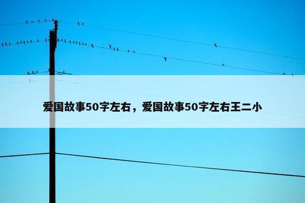 爱国故事50字左右，爱国故事50字左右王二小