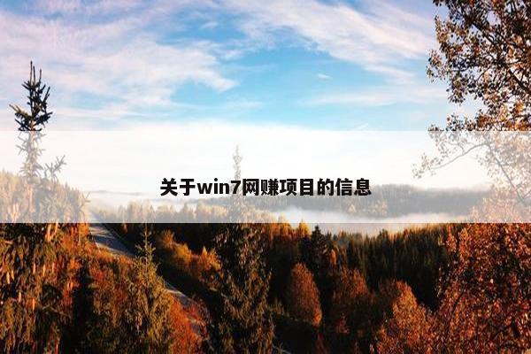 关于win7网赚项目的信息