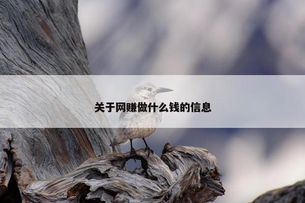 关于网赚做什么钱的信息