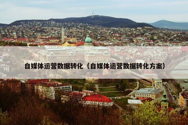 自媒体运营数据转化（自媒体运营数据转化方案）