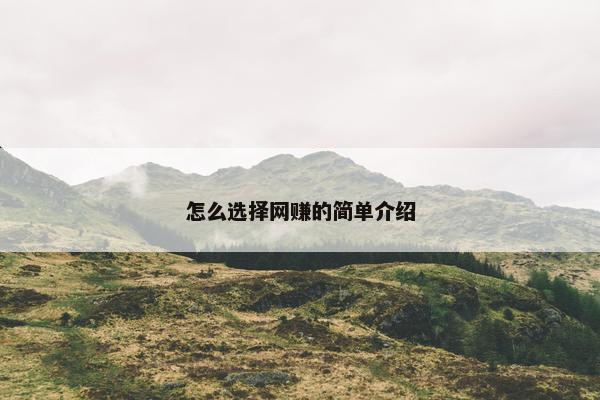 怎么选择网赚的简单介绍