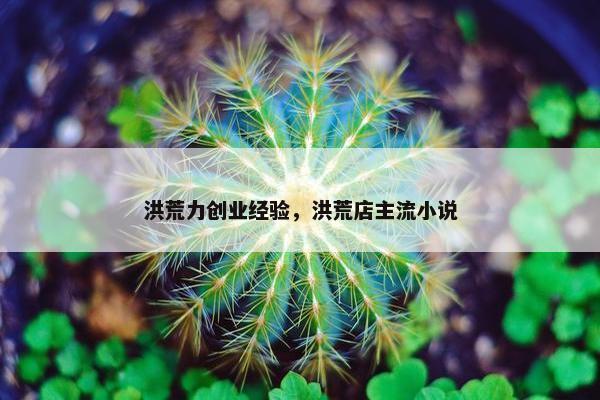 洪荒力创业经验，洪荒店主流小说
