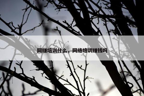 网赚培训什么，网络培训赚钱吗