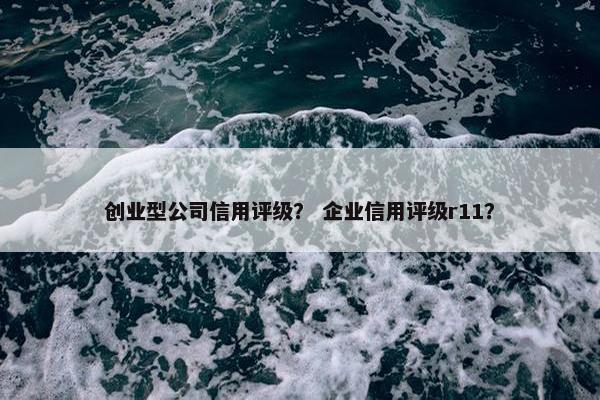 创业型公司信用评级？ 企业信用评级r11？