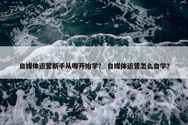 自媒体运营新手从哪开始学？ 自媒体运营怎么自学？
