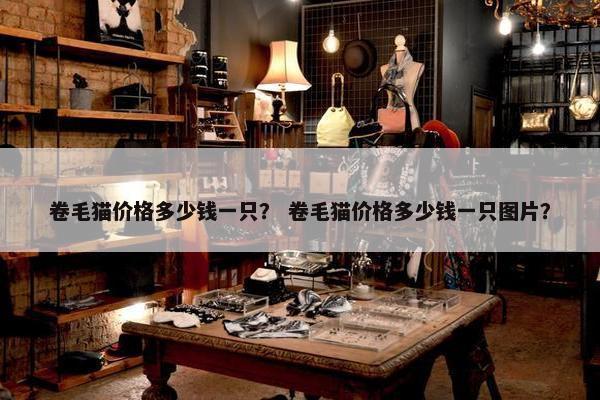卷毛猫价格多少钱一只？ 卷毛猫价格多少钱一只图片？