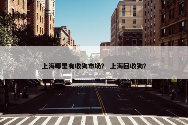 上海哪里有收狗市场？ 上海回收狗？
