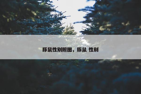 豚鼠性别照图，豚鼠 性别