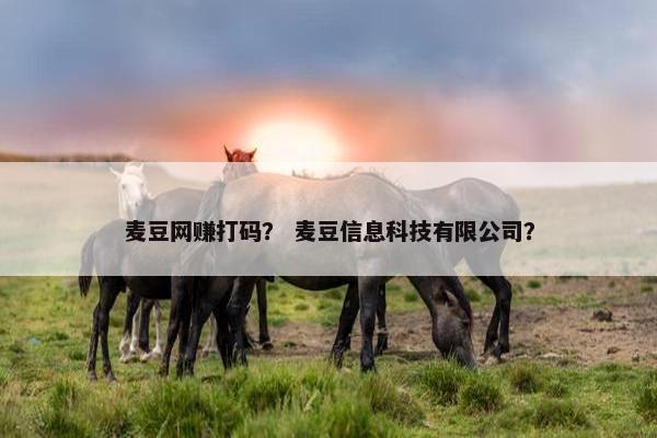 麦豆网赚打码？ 麦豆信息科技有限公司？