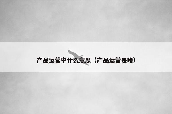 产品运营中什么意思（产品运营是啥）