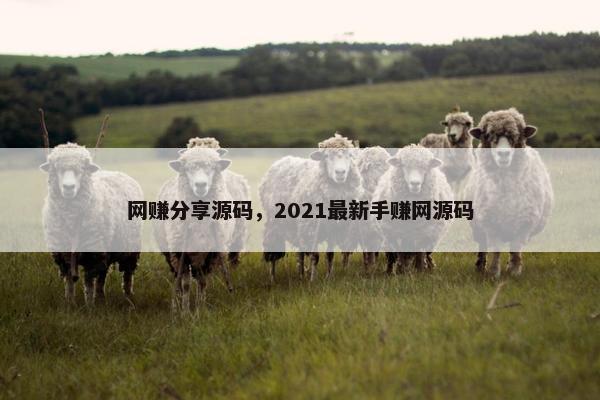网赚分享源码，2021最新手赚网源码