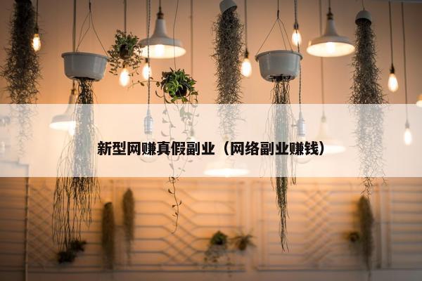 新型网赚真假副业（网络副业赚钱）