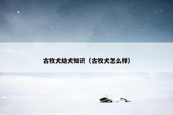 古牧犬幼犬知识（古牧犬怎么样）