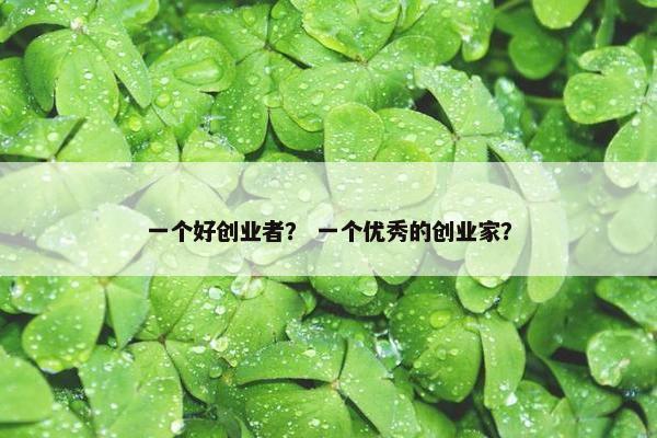 一个好创业者？ 一个优秀的创业家？