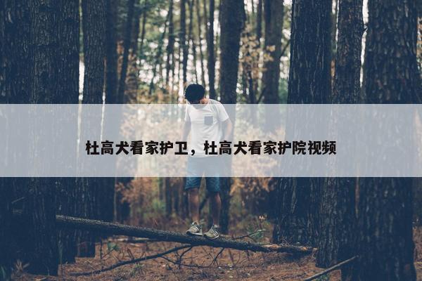 杜高犬看家护卫，杜高犬看家护院视频