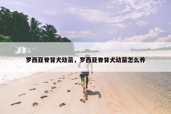 罗西亚脊背犬幼苗，罗西亚脊背犬幼苗怎么养