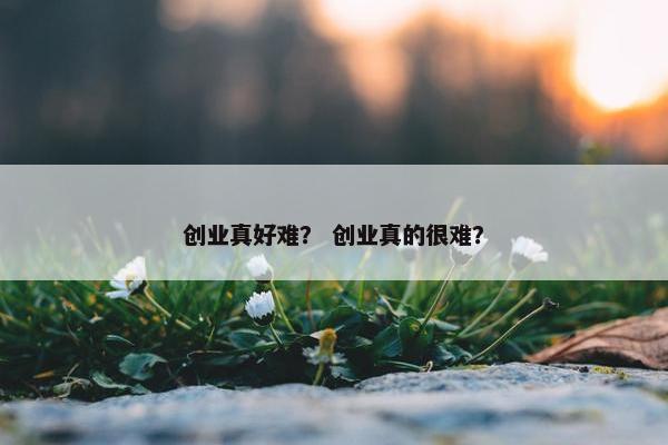 创业真好难？ 创业真的很难？