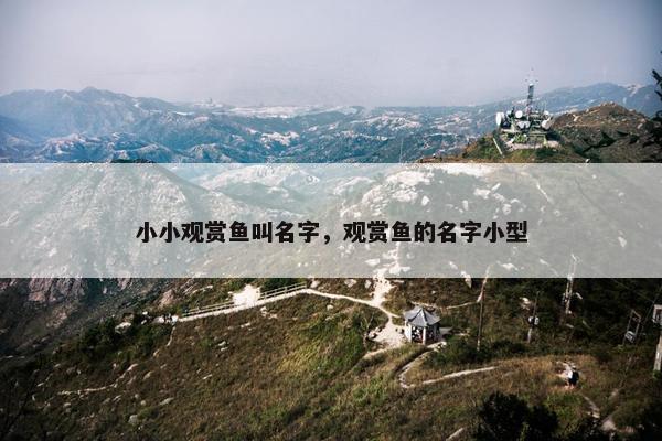 小小观赏鱼叫名字，观赏鱼的名字小型