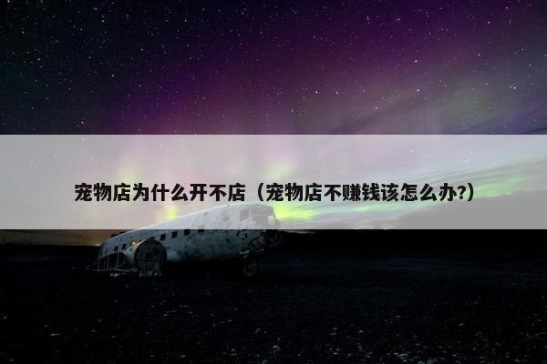 宠物店为什么开不店（宠物店不赚钱该怎么办?）