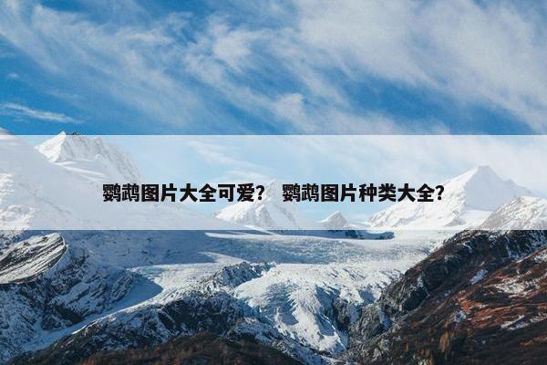 鹦鹉图片大全可爱？ 鹦鹉图片种类大全？
