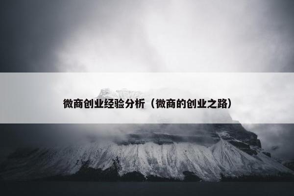 微商创业经验分析（微商的创业之路）