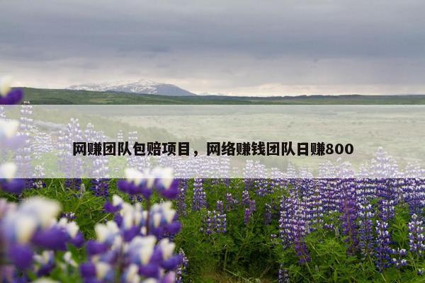 网赚团队包赔项目，网络赚钱团队日赚800