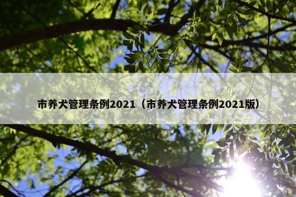 市养犬管理条例2021（市养犬管理条例2021版）