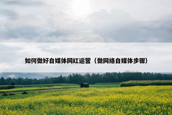 如何做好自媒体网红运营（做网络自媒体步骤）