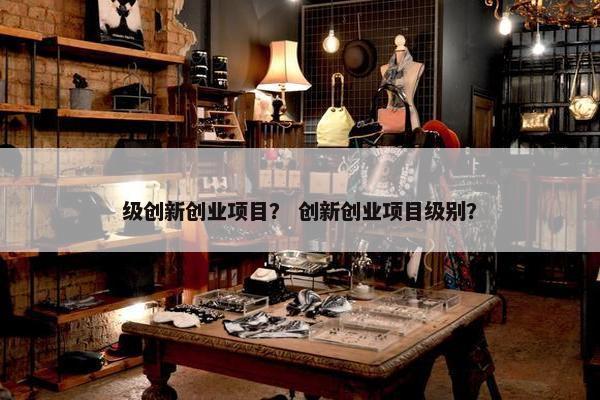 级创新创业项目？ 创新创业项目级别？