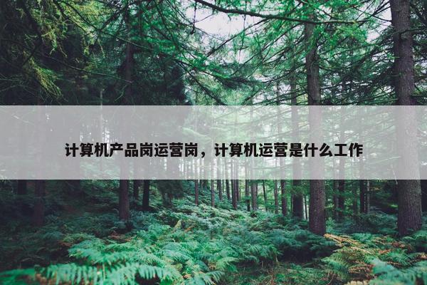 计算机产品岗运营岗，计算机运营是什么工作