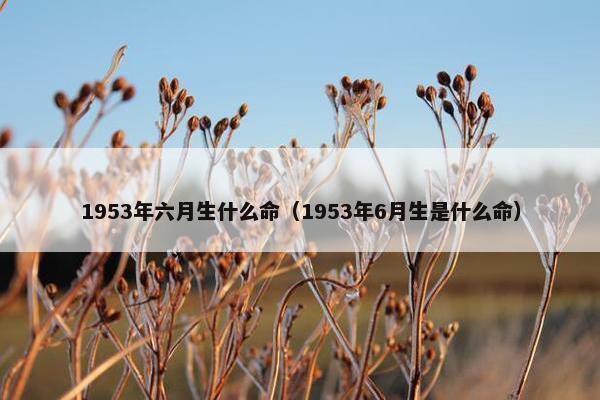 1953年六月生什么命（1953年6月生是什么命）