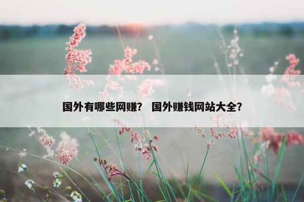 国外有哪些网赚？ 国外赚钱网站大全？