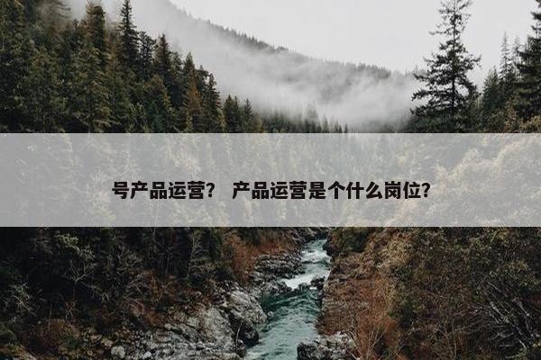 号产品运营？ 产品运营是个什么岗位？