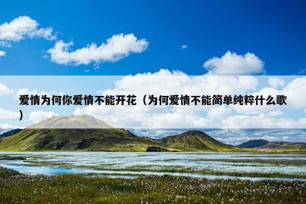 爱情为何你爱情不能开花（为何爱情不能简单纯粹什么歌）