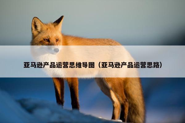 亚马逊产品运营思维导图（亚马逊产品运营思路）