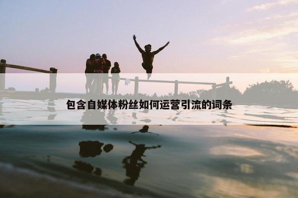 包含自媒体粉丝如何运营引流的词条