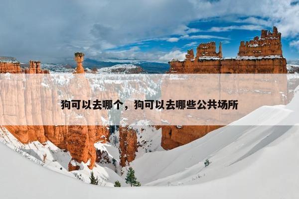 狗可以去哪个，狗可以去哪些公共场所