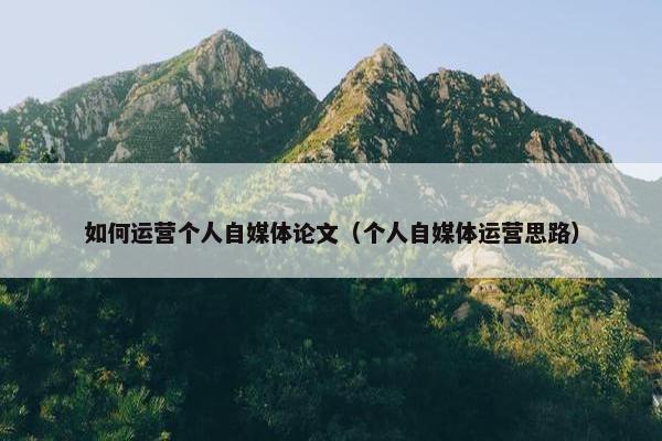 如何运营个人自媒体论文（个人自媒体运营思路）