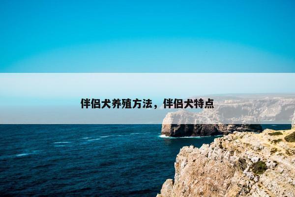 伴侣犬养殖方法，伴侣犬特点